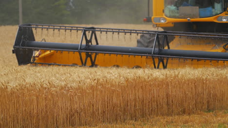 heavy machinery gathering ripe wheat. agricultural concept. rural landscape. wheat meadow.