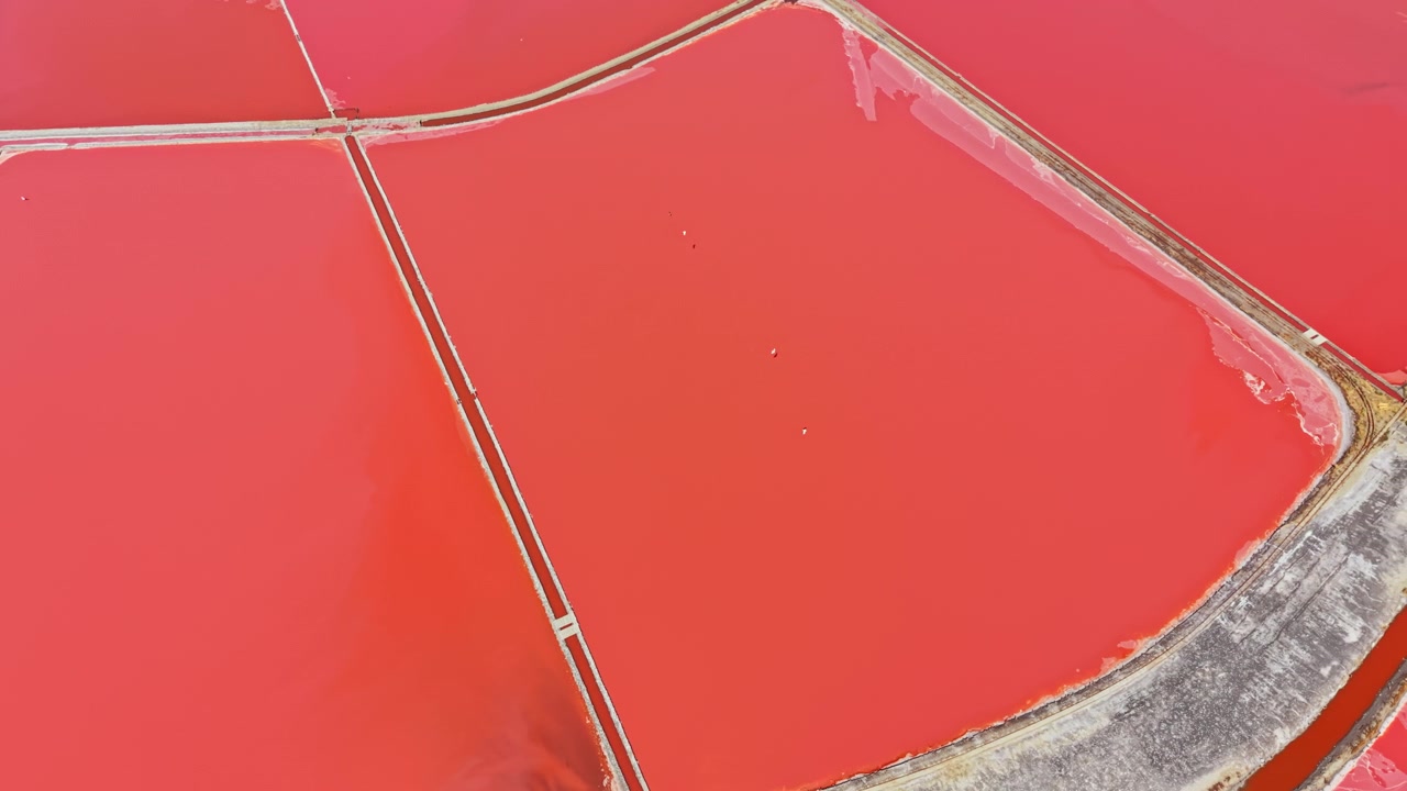 Bright red salt flats in a large area near a coastline during midday with clear skies and visible pathways
