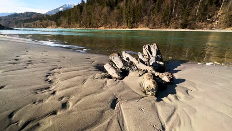 slomo - driftwood buried in the sand on the tyrolean bank of the inn