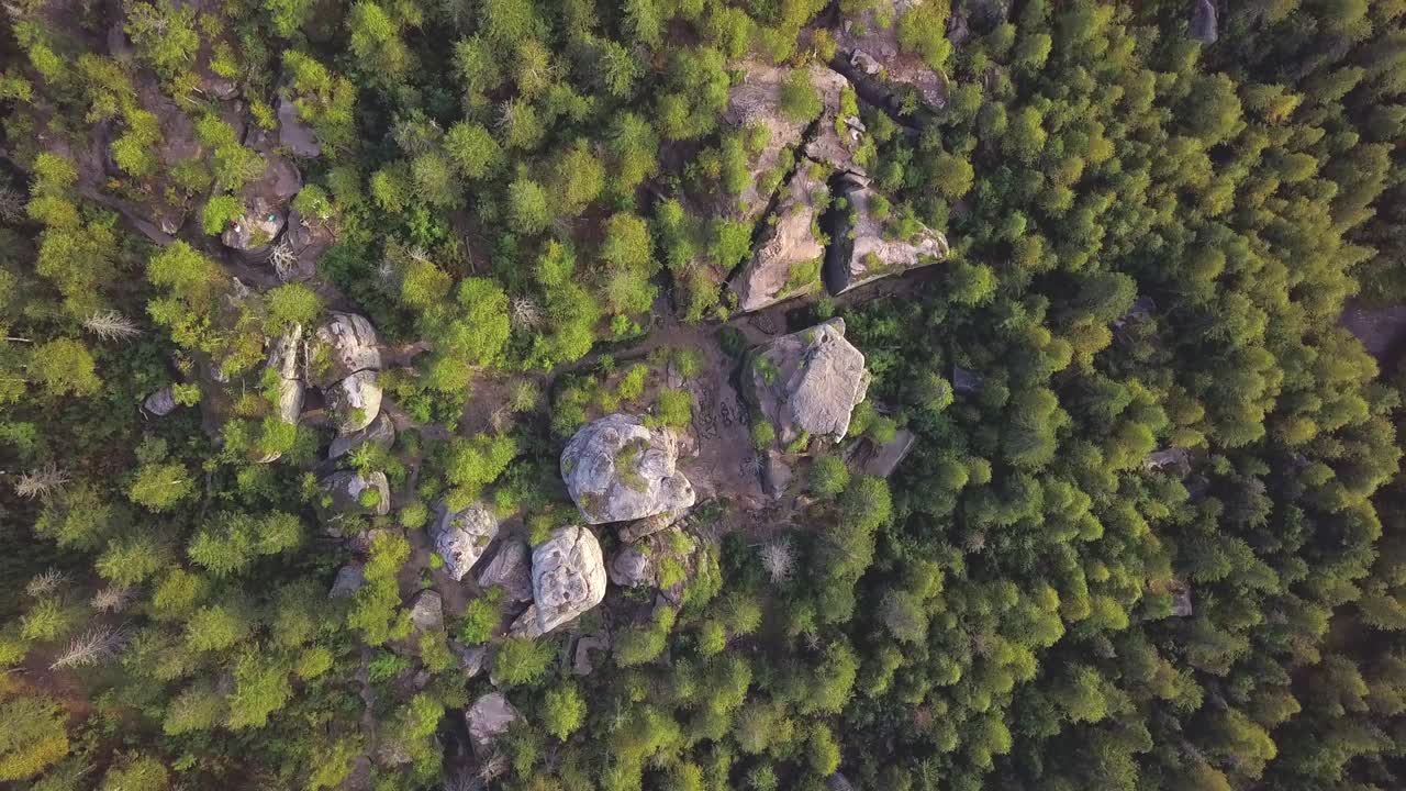 vista aérea del bosque con rocas y senderos