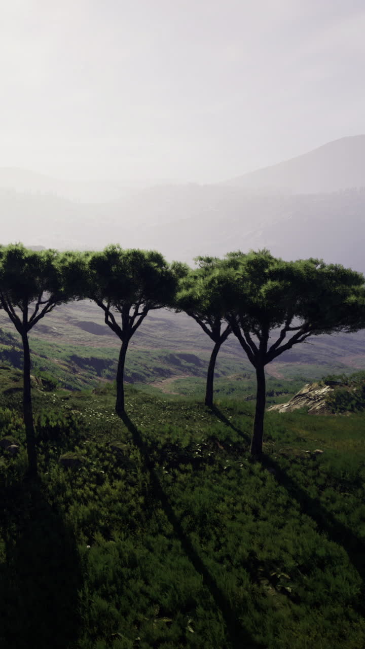 In un paesaggio con colline e montagne, quattro alberi crescono vicini l'uno all'altro