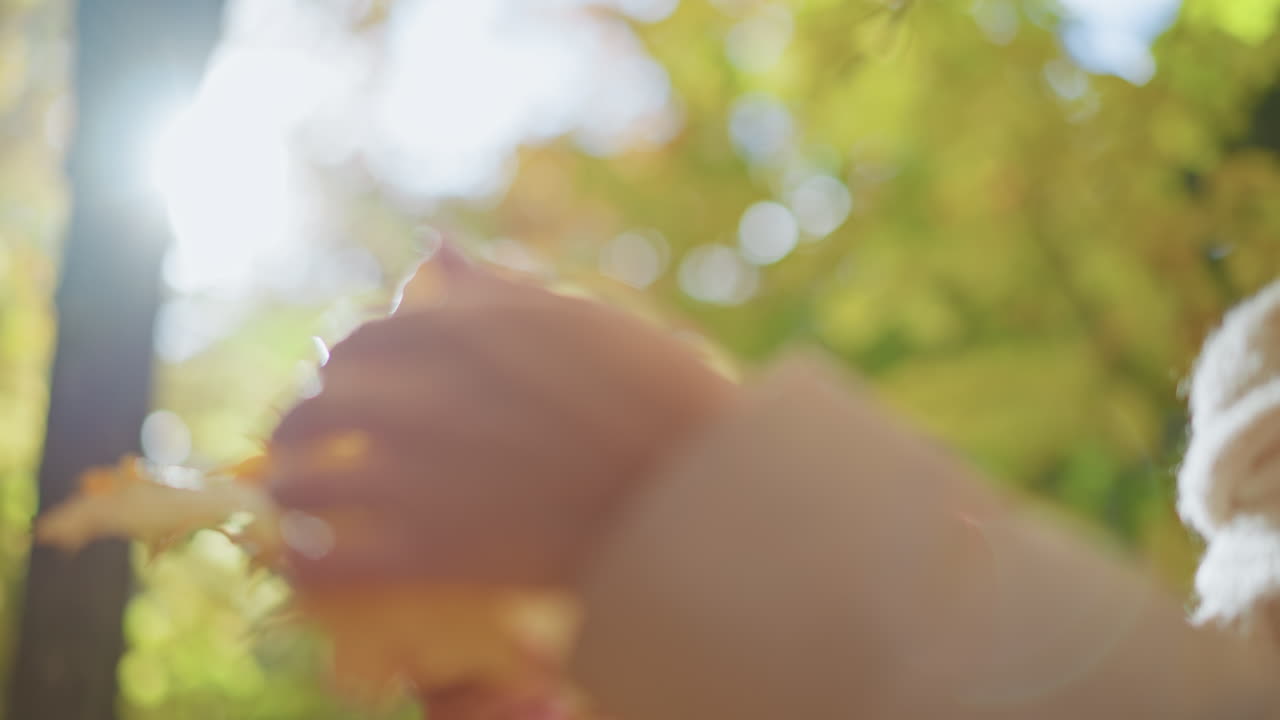 close up of person gently touching golden autumn leaves with sunlight streaming through trees, creating dreamy natural lens flare effect as warm tones and soft focus
