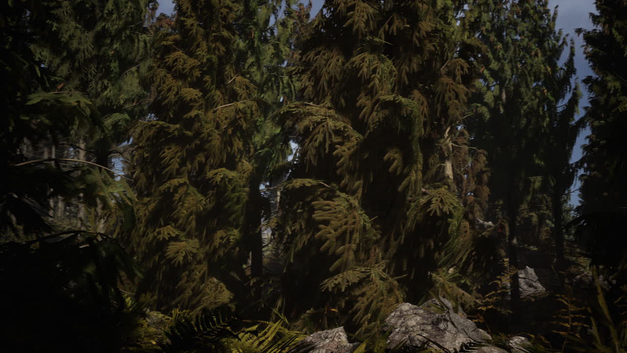 el cono del bosque en un día de niebla