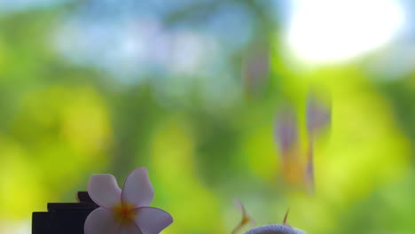 vista en cámara lenta de pétalos de flores que caen contra un fondo borroso verde en la mesa con plumeria de flores y toallas