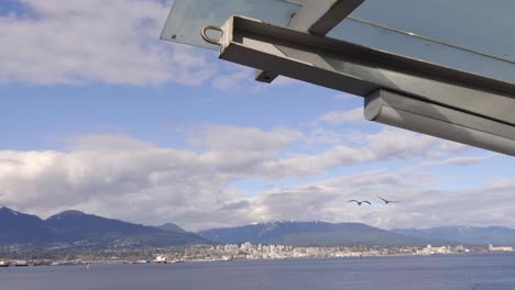 seabirds flying over burrard inlet at daytime in vancouver, bc, canada