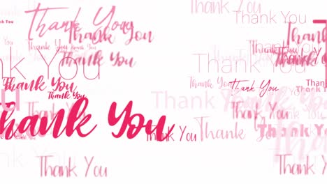 animation loop of thank you word related red pink word flowing. element for intro, title banner on white background