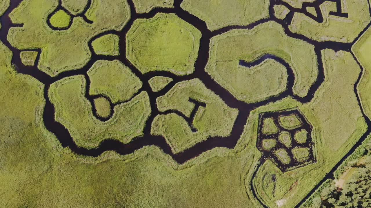 Unique canal formations in Engure Lake reeds, bird habitats and biodiversity, 4K