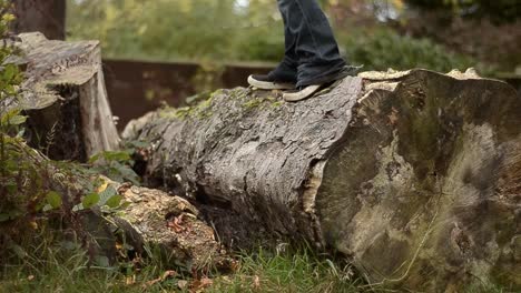 outdoors walking on a countryside log trying to balance