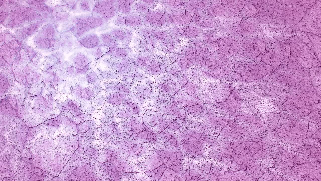 sombra de las hojas de los árboles durante el calor del verano en el suelo seco animación de bucle de la superficie del suelo color rosa