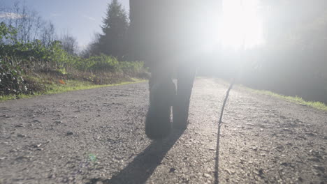 Gehende-Silhouette-Auf-Der-Landstraße-An-Sonnigen-Tagen