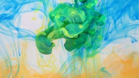 liquid abstractions, the dissolution of blue, yellow, red and green paint in water.