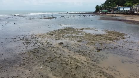 Luftdrohnenaufnahme-Von-Pipa-Beach-Brasilien