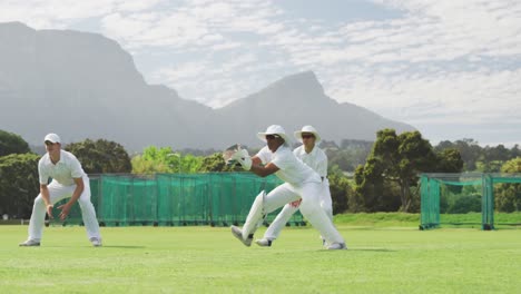 cricket player catching the ball on the pitch