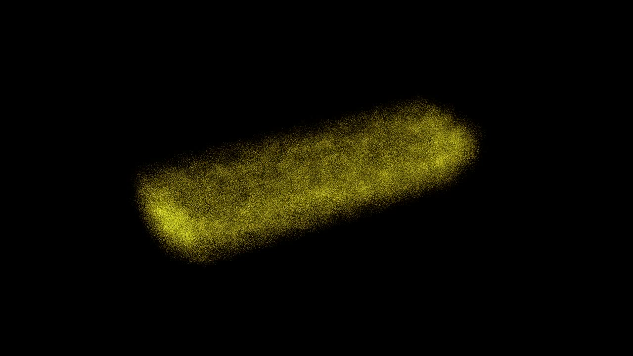 검은색 바탕에 금색 막대기