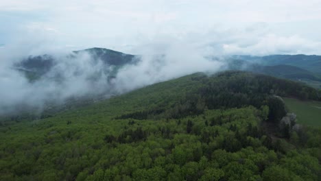 deep forest landscape, fog clouds covering hills, healthy green nature environment