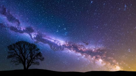milky way over a silhouette tree