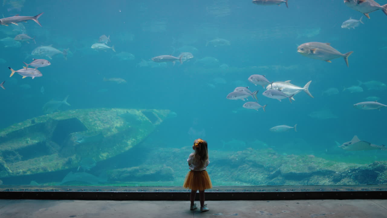 niña pequeña en el acuario mirando peces nadando en el tanque niño feliz viendo hermosos animales marinos en el oceanario divirtiéndose aprendiendo sobre la vida marina en el hábitat acuático
