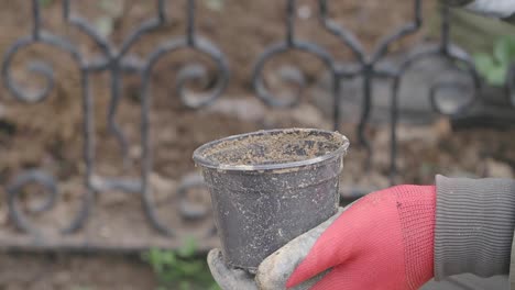 hands in gardening gloves preparing to plant a small plant in a pot