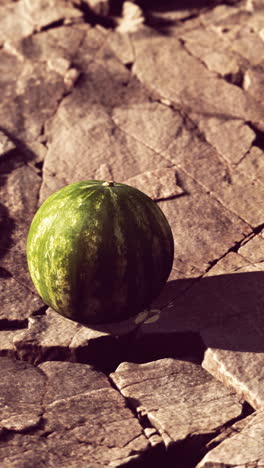 single watermelon on a stone surface