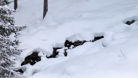 small stream in the middle of winter snow landscape in the italian alps