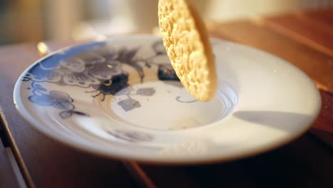 la galleta cae en el plato y rebota