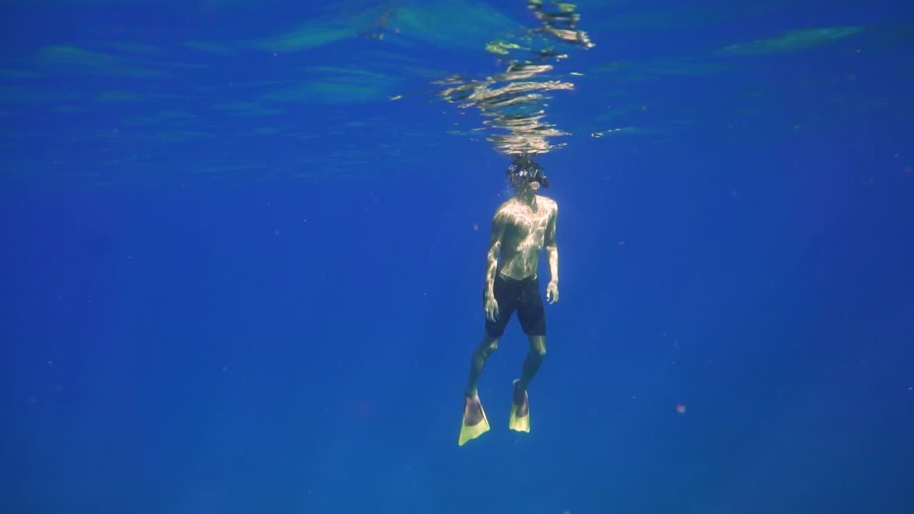 사람은 바다 깊은 곳에서 떠오르고, 빛은 물을 통해 반짝인다