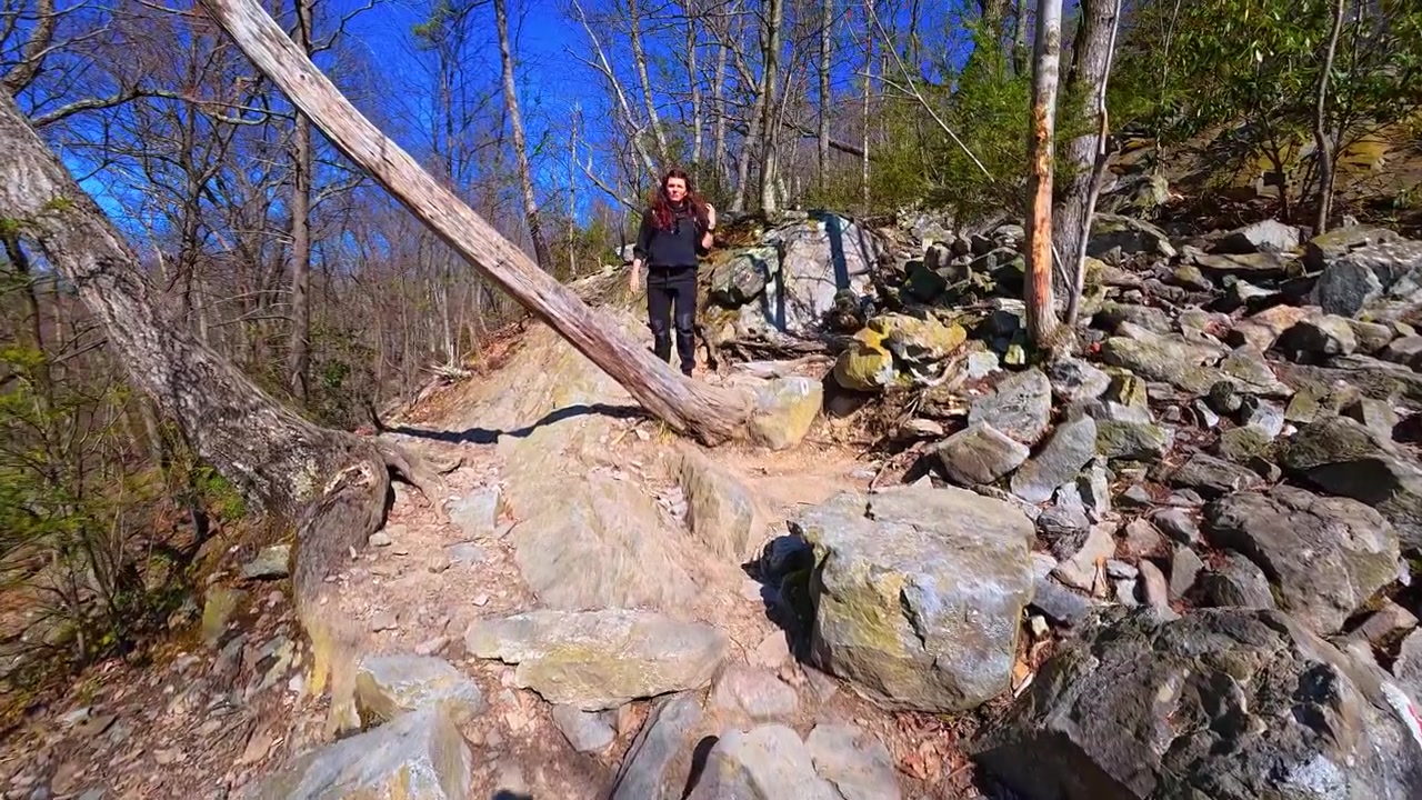 Female hiker navigating steep rock scramble on mountain trail. Back view of a person climbing over large boulders and rocks on a hiking trail in forest.
