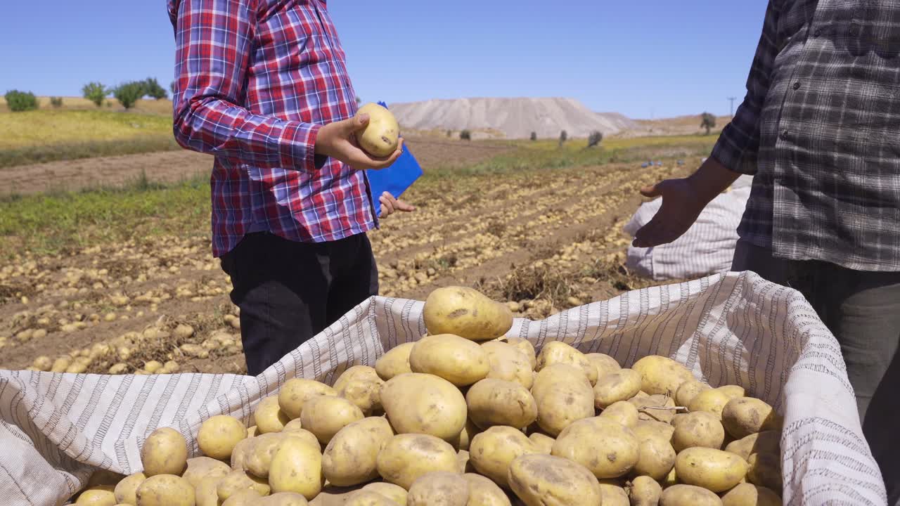 trabajador de oficina estrechando la mano con el agricultor en el campo de patatas.