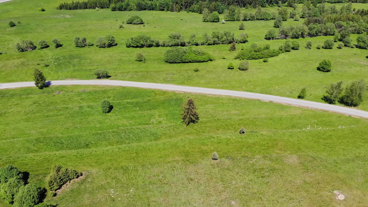 camino de asfalto vacío que pasa por un prado verde, campo en polonia, vista aérea