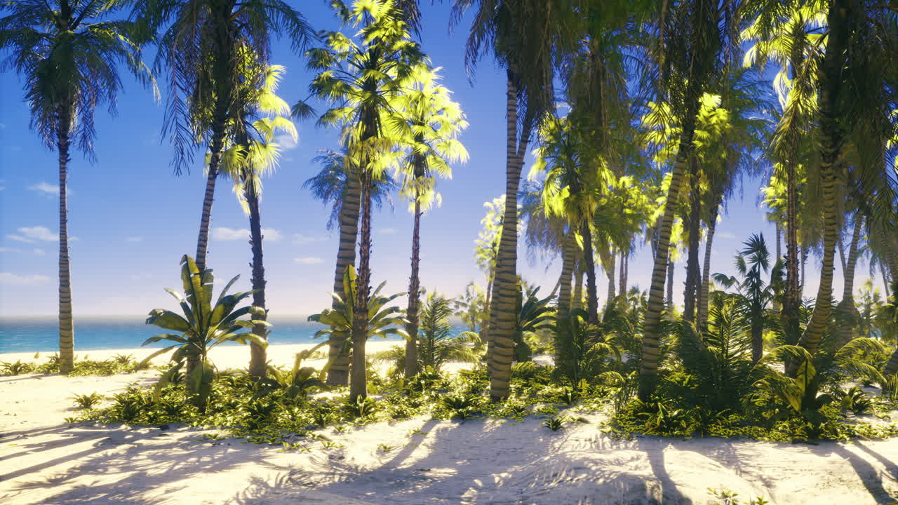 Lush tropical palm trees by a serene beach during midday sunlight