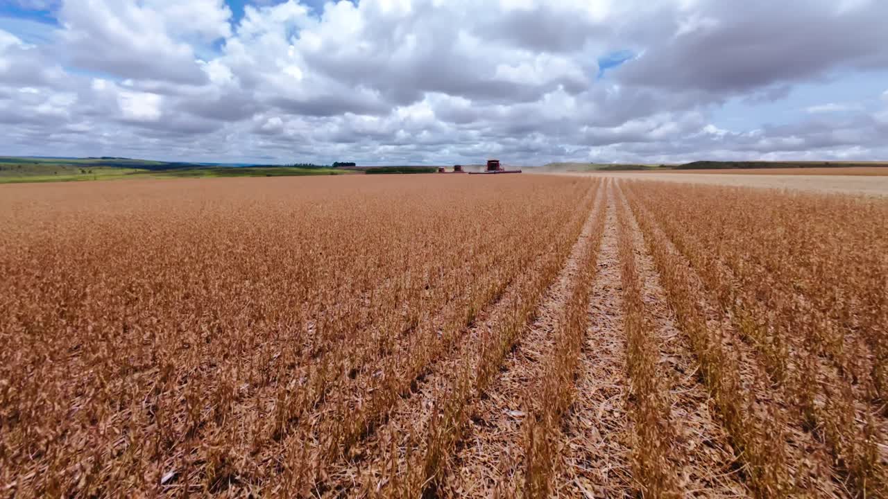 Combine harvesters working on a large soybean plantation in a rural area of São João da Aliança, Goiás, Brazil, under a cloudy sky, during harvest season, drone flying low altitutde