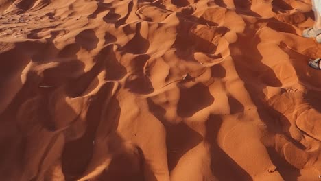 footprints and people walking in namibian desert