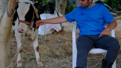 Calf-loving-sitting--man