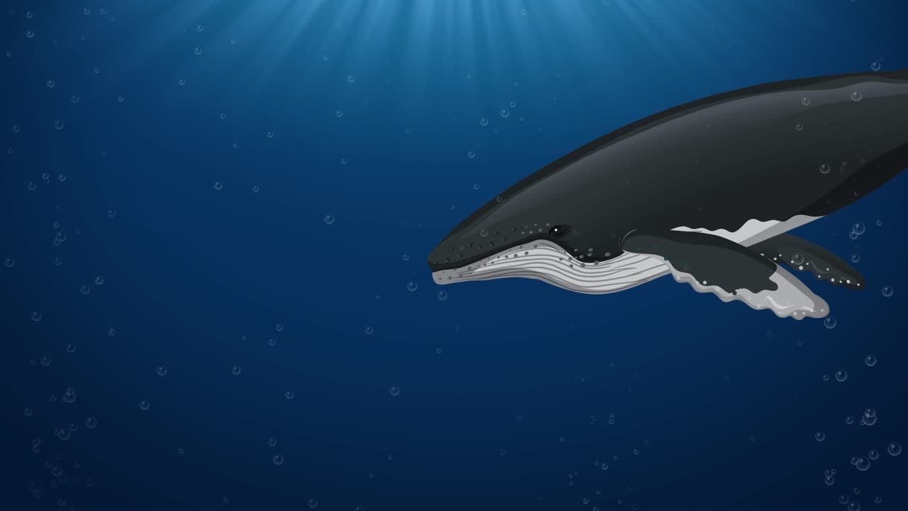 내부 장기를 순차적으로 보여주는 애니메이션 고래