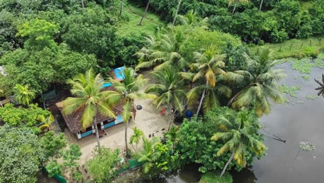 vista aérea de una casa rural en la india , una pequeña casa de pie en el medio de un bosque de cocos , casa cerca de cuerpos de agua