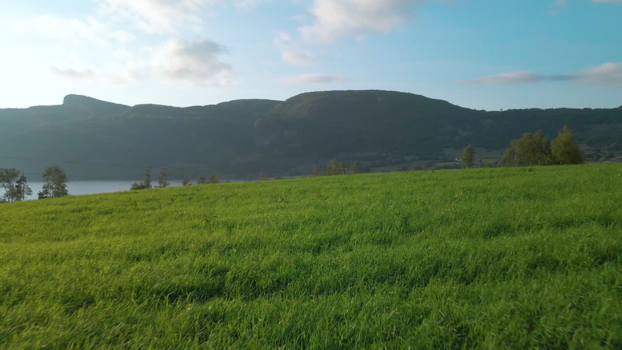 hjelmeland 노르웨이의 산이 내려다 보이는 평화로운 풀밭 풍경 - 와이드 샷