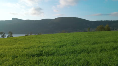 Friedliche-Graslandschaft-Mit-Blick-Auf-Die-Berge-In-Hjelmeland-Norwegen-–-Weitwinkelaufnahme