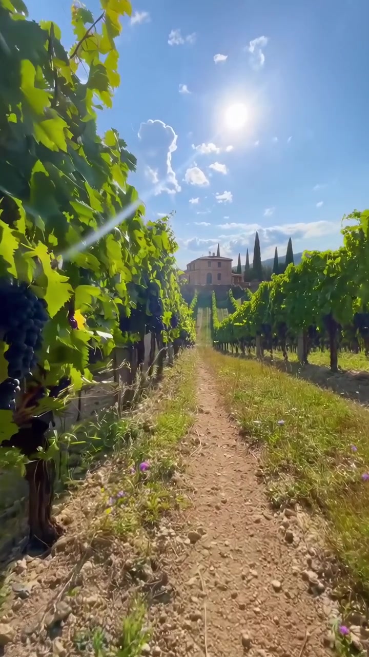 Sentiero tra i Vigneti che Conduce a una Villa Toscana in una Giornata di Sole