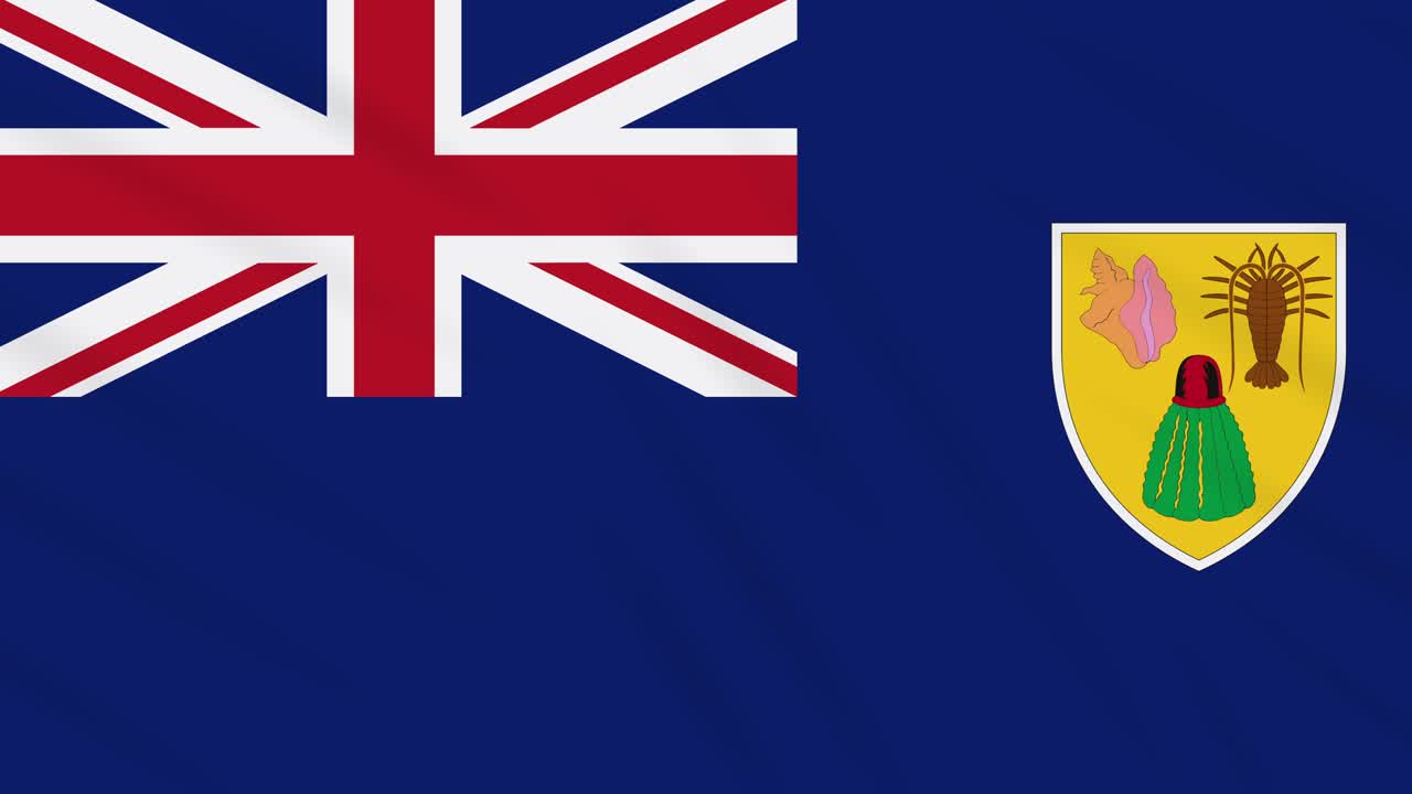 터크와 카이코스 발을 흔드는 천 배경 루프