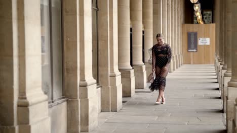 stylish woman in a polka dot dress in paris