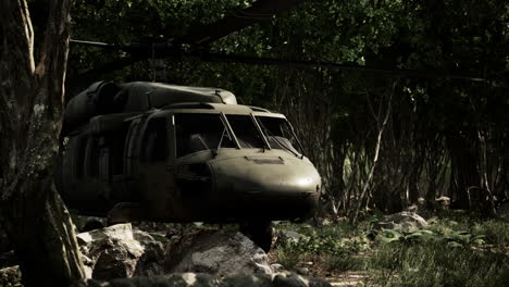 Military-helicopter-in-deep-jungle