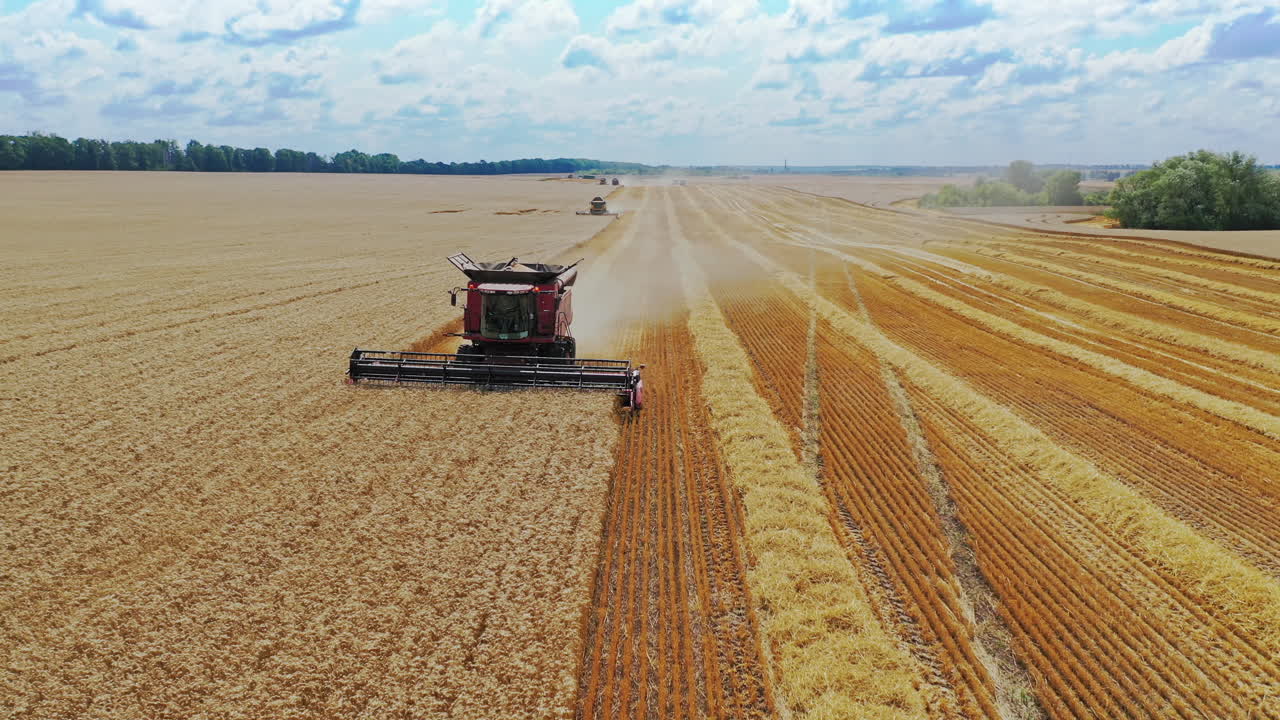 Aerial view of a modern combine harvesting dry grains at seasonal works. Combine working at wheat field in summer. Agriculture concept