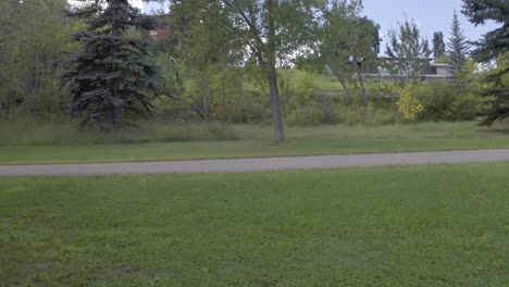 young mom walks with baby in stroller and child holding hand on a leisure time in the park whereby nobody is outdoor and they are having a wonderful family time with nature on a summer blue sky prk2-2