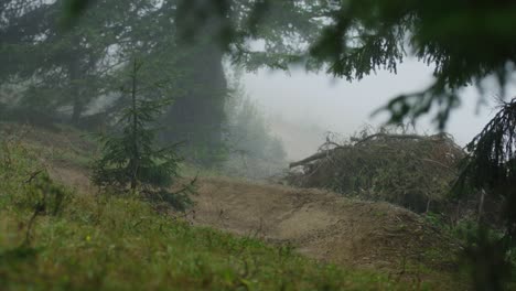 Ein-Mountainbiker-Fährt-Sehr-Schnell-Um-Eine-Kurve