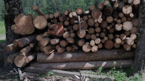 stack of logs, lumber industry