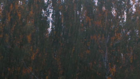 Fondo-Borroso-Con-Fuertes-Gotas-De-Lluvia