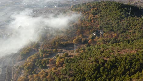 Deforestation-in-Chinese-mountain-forest,-human-impact,-aerial-view