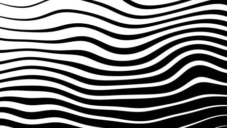 4k zebra line movement animation background seamless loop.