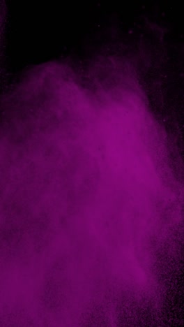 super slow motion shot of pink color powder explosion at 1000fps vertical view