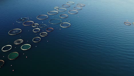 drone shot of fish farms in the sea.